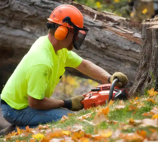 tree services Monroe